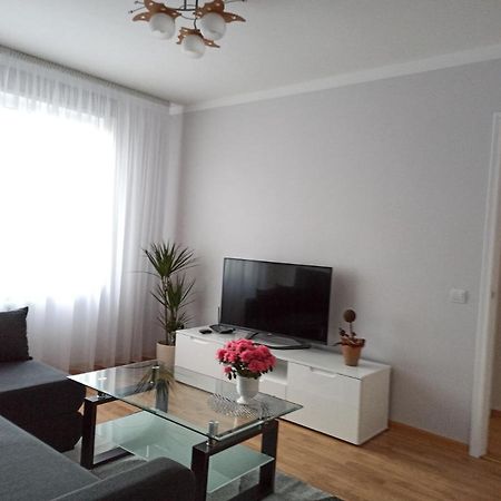 Luena Apartment Jelgava Exterior photo